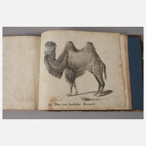 Neue Bildergalerie für die Jugend