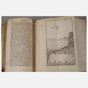 Johann Jacob Schmidts Biblischer Physicus