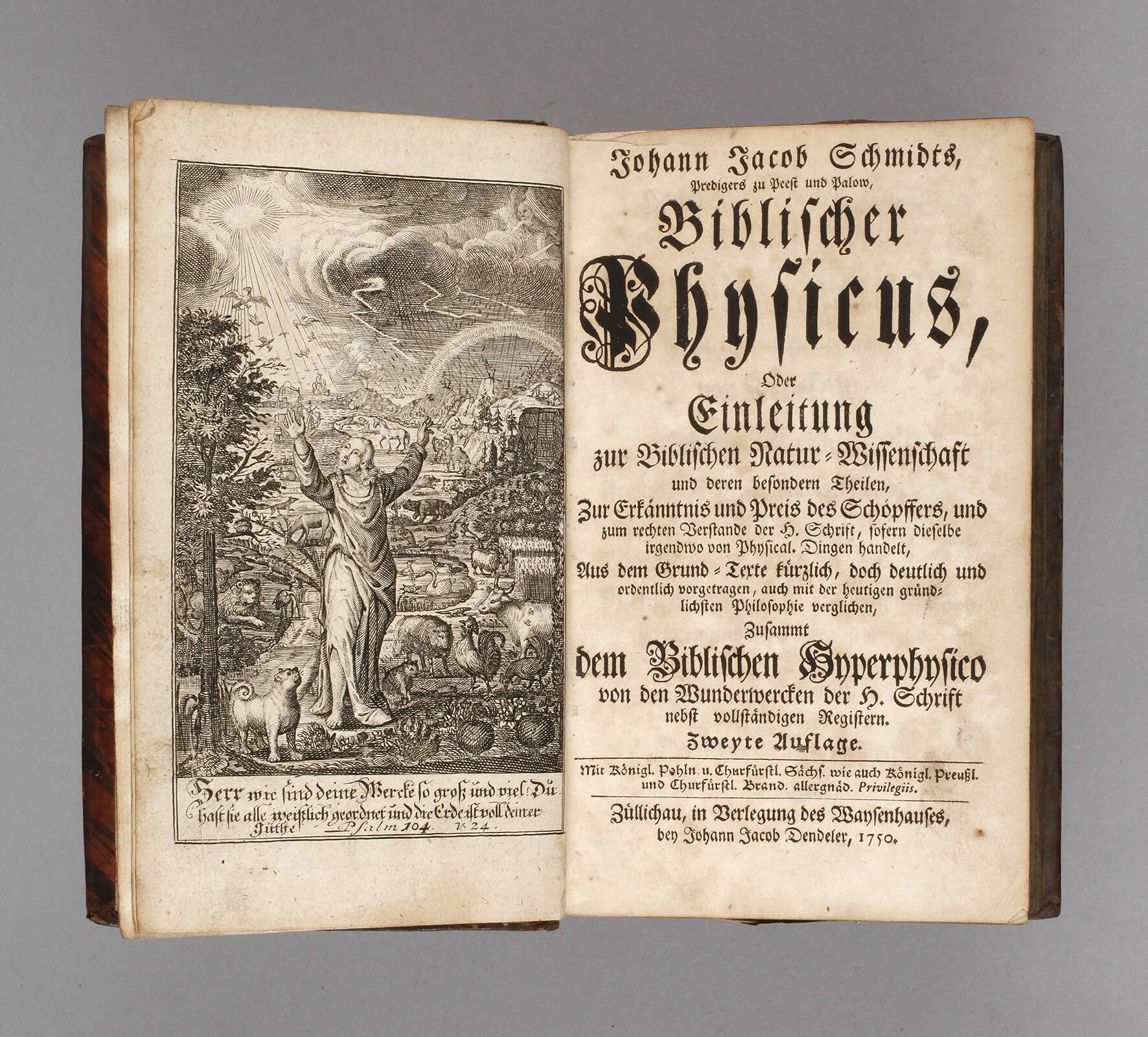 Johann Jacob Schmidts Biblischer Physicus