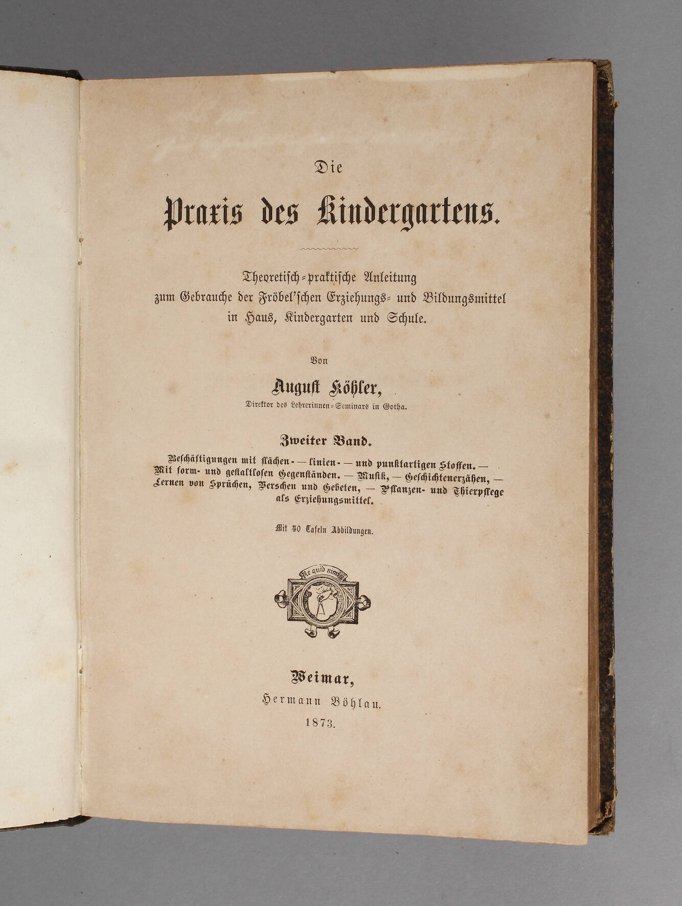 Die Praxis des Kindergartens