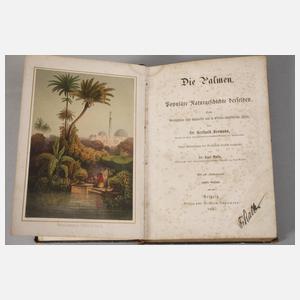 Konvolut Gartenbücher Deutsches Reich