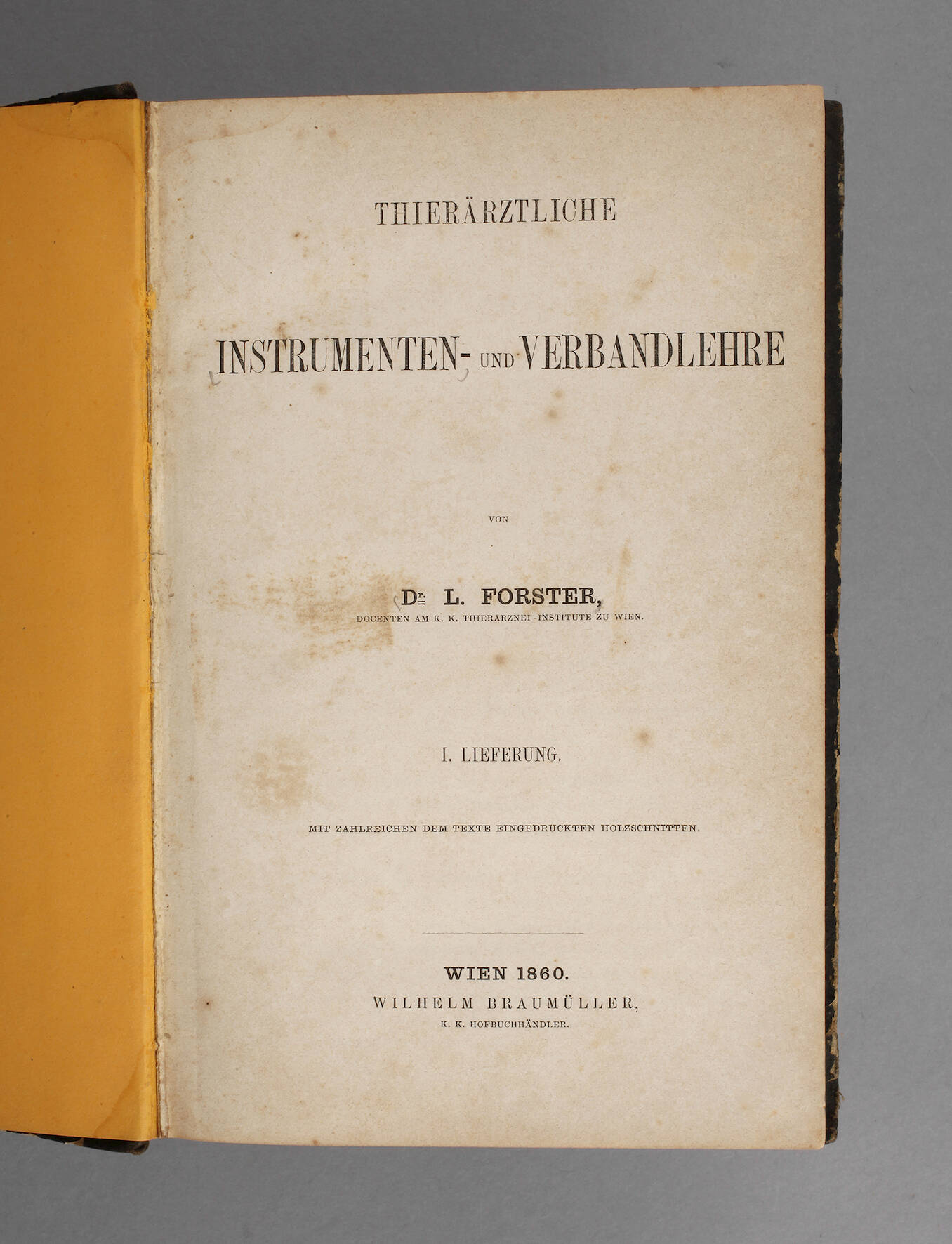 Thierärztliche Instrumenten- und Verbandlehre