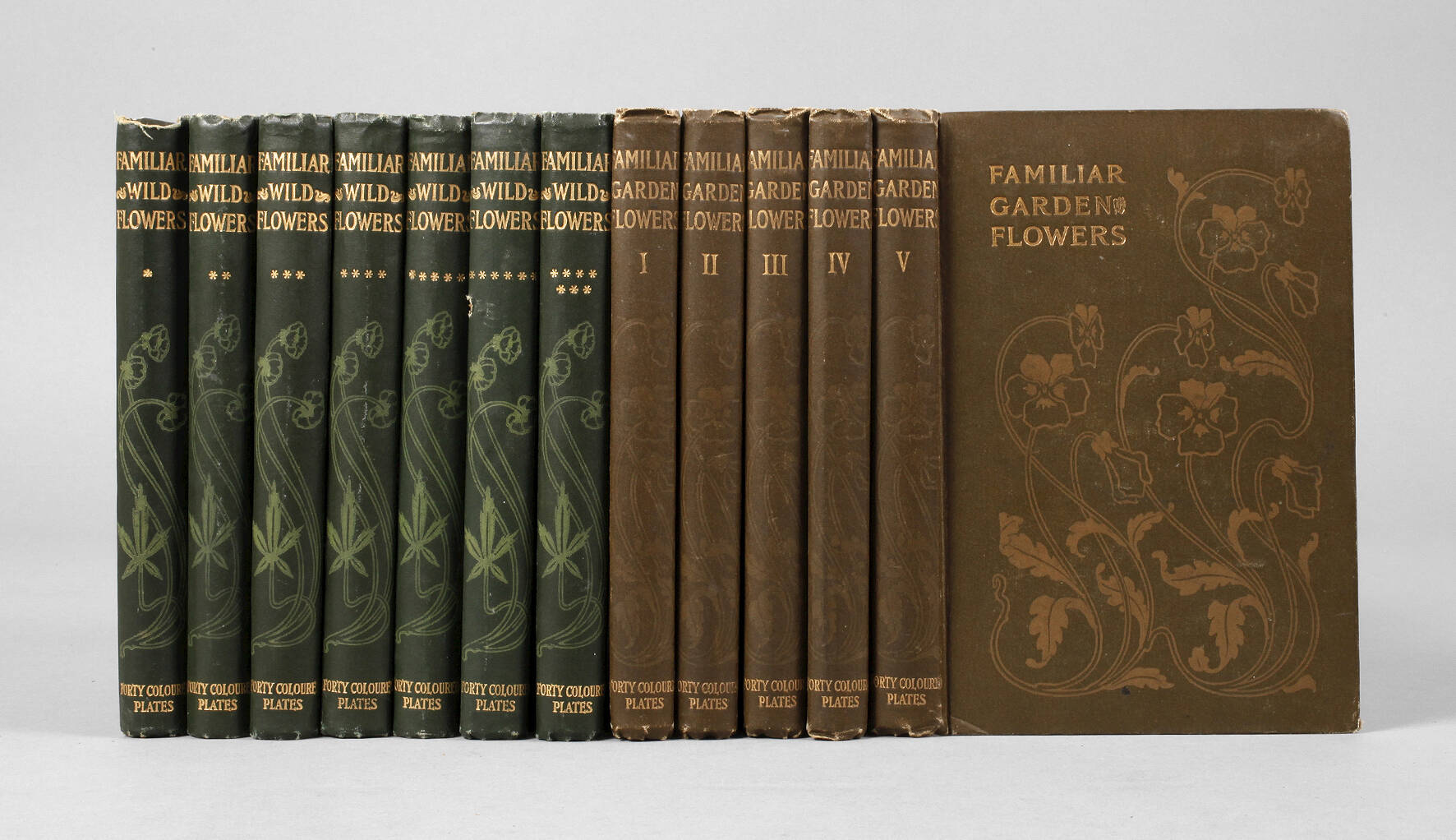 Familiar Wild/Garden Flowers