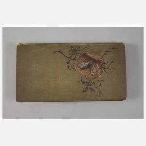 Ansichtskartenalbum Frankreich