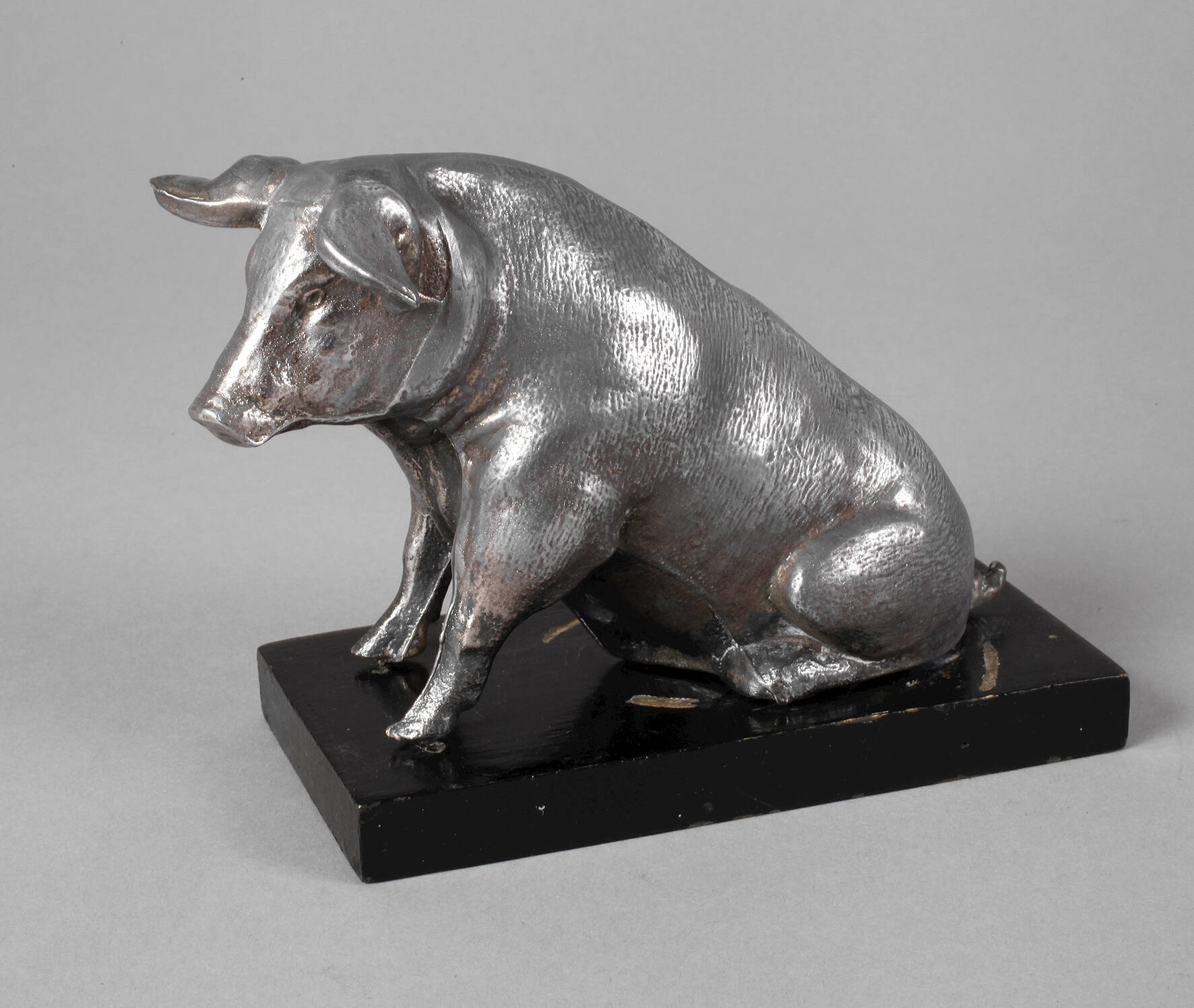 Spardose als Schwein