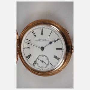 Goldsavonnette Waltham