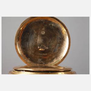 Goldsavonnette Nomos