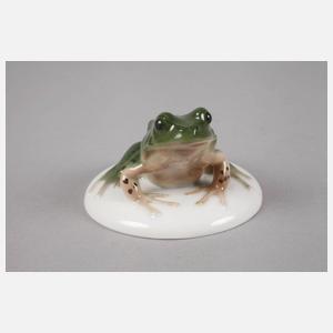 Rosenthal Frosch