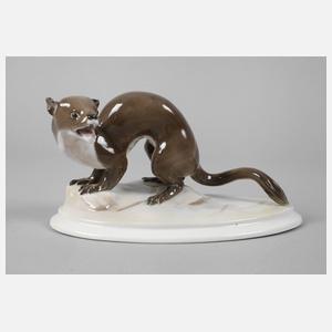 Plaue-Schierholz Marder