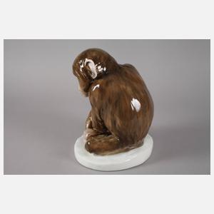 Johann Robert Korn, sitzender Schimpanse