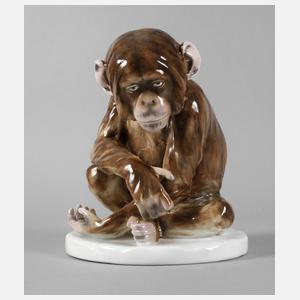 Johann Robert Korn, sitzender Schimpanse