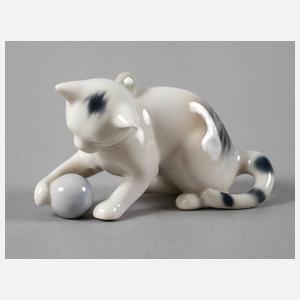 Ilmenau Katze mit Ball