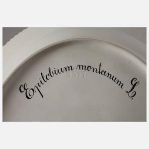 Kopenhagen Platte "Flora Danica"