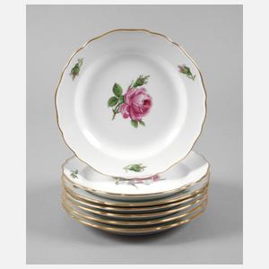 Meissen sieben Teller "Rote Rose“