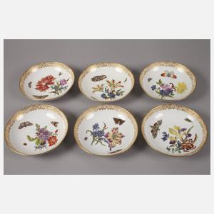 Meissen Kaffeeservice mit Insektenmalerei