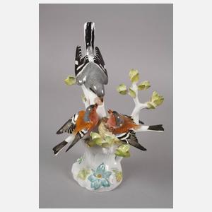 Meissen "Finken mit Sperber"