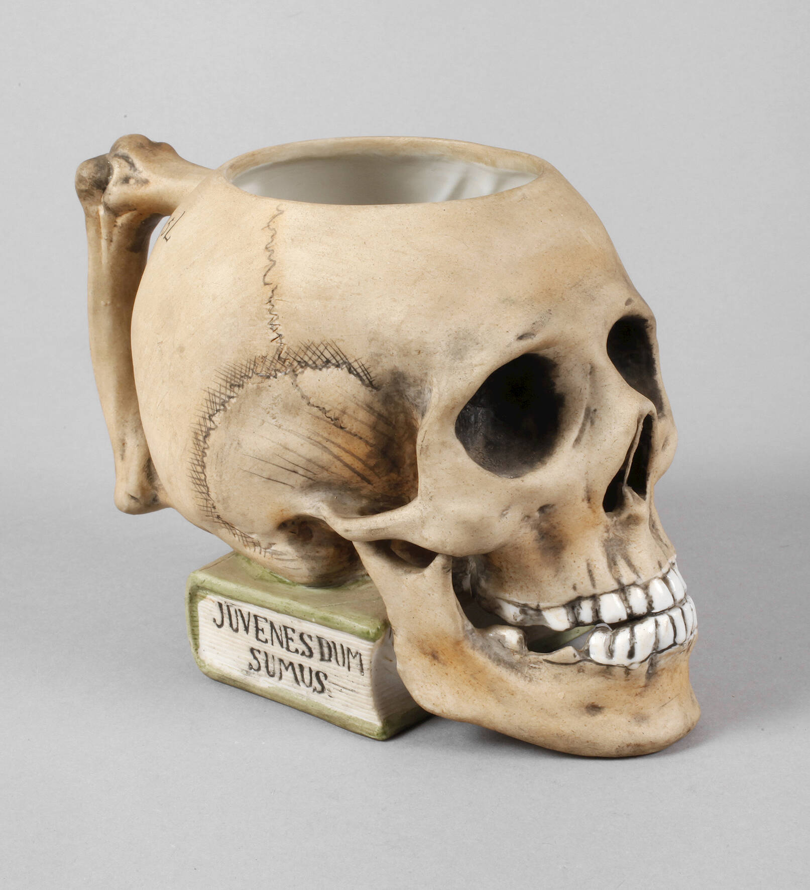 Rudolstadt studentischer Totenkopfkrug