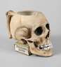 Rudolstadt studentischer Totenkopfkrug