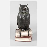 Große Büchereule111