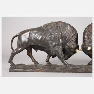 Peder Jensen, kämpfende Büffel