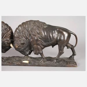 Peder Jensen, kämpfende Büffel