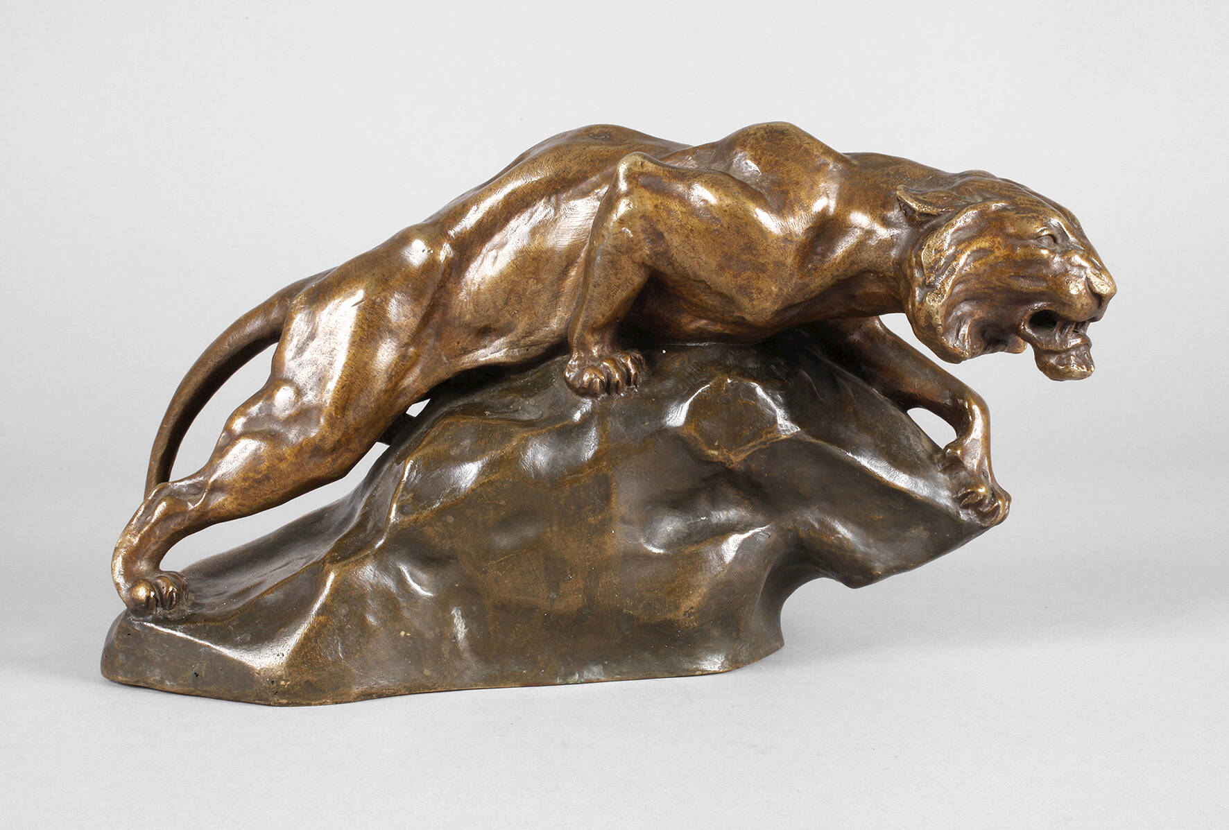 Jaques Merculiano, Tiger