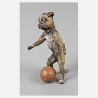 Wiener Bronze Hund mit Ball111