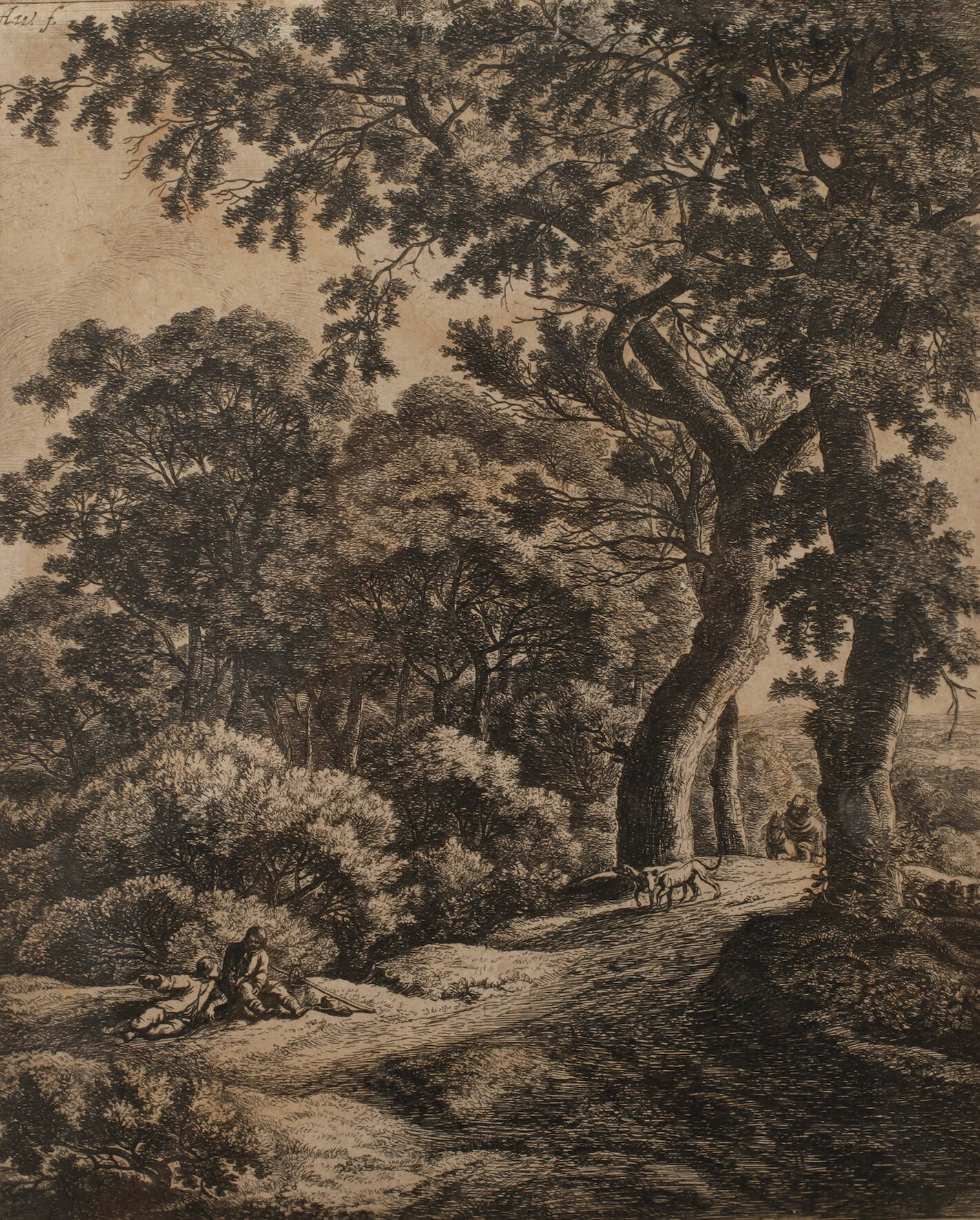 Waldlandschaft mit Wanderern