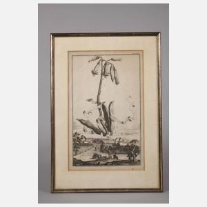 Der Hesperiden-Garten in Nürnberg