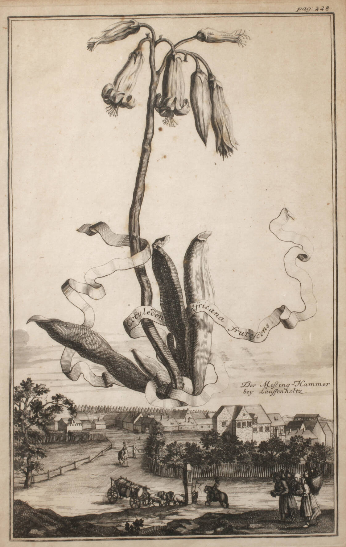 Der Hesperiden-Garten in Nürnberg