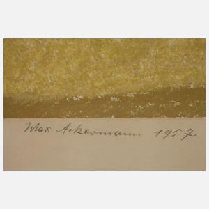 Prof. Max Ackermann, "Sonneninseln"