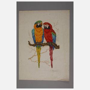 Zwei Papageien