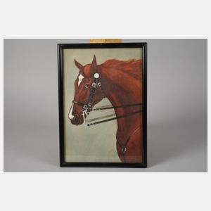 P. Fischer, Drei Pferdebilder