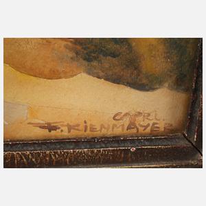 Prof. Franz Kienmayer, Aufgang zur Terasse