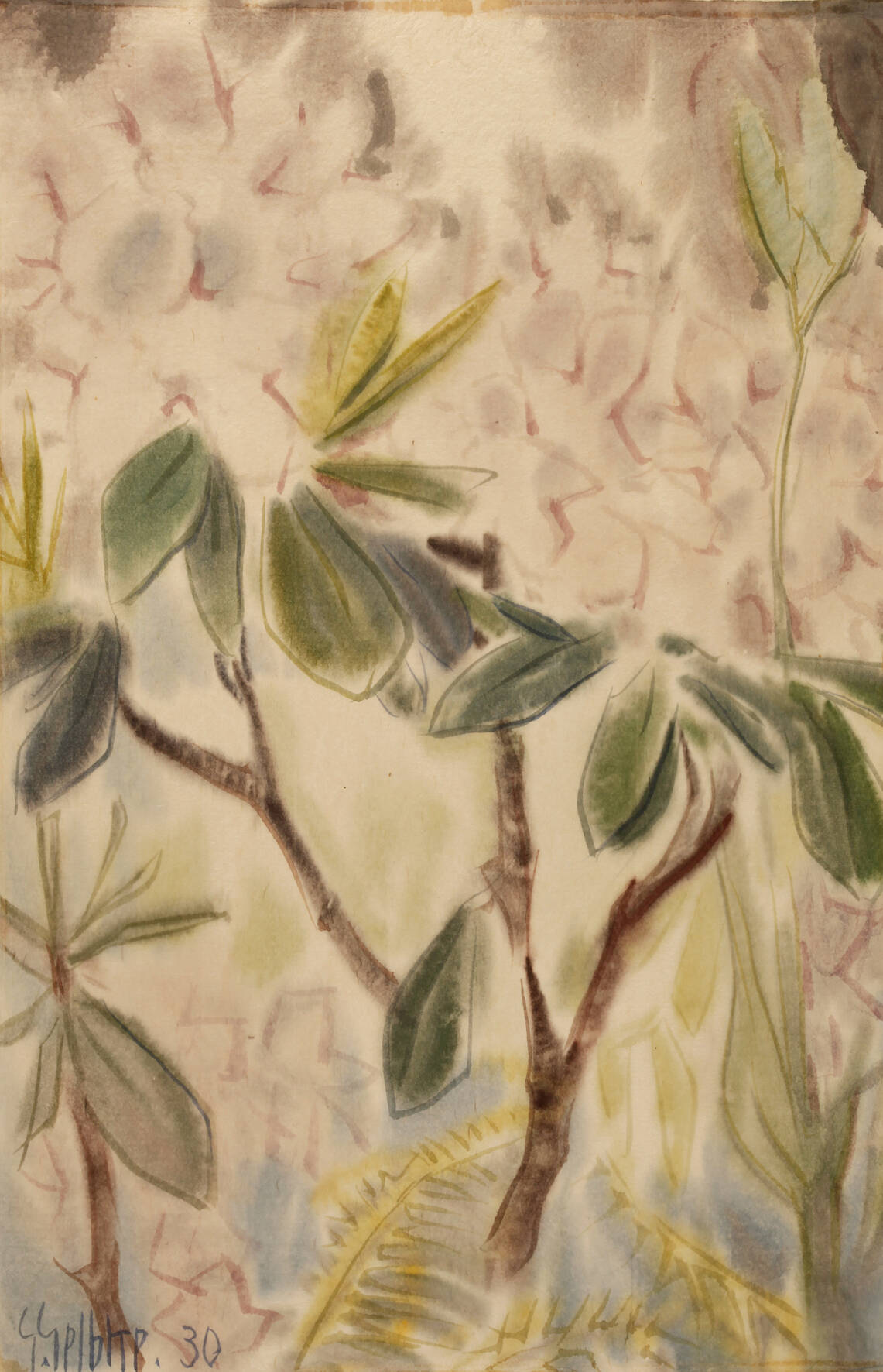 Georg Gelbke, Rhododendronzweig