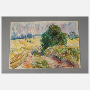 Werner Haselhuhn, Sommerliche Landschaft