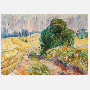 Werner Haselhuhn, Sommerliche Landschaft