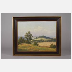 Siegfried Hauffe, Vogtländische Sommerlandschaft