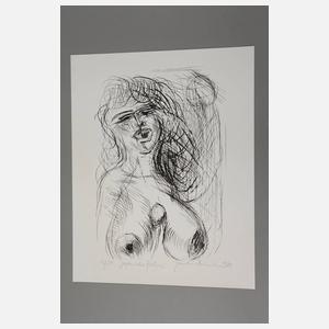 Hermann Naumann, Sammlung Druckgraphiken