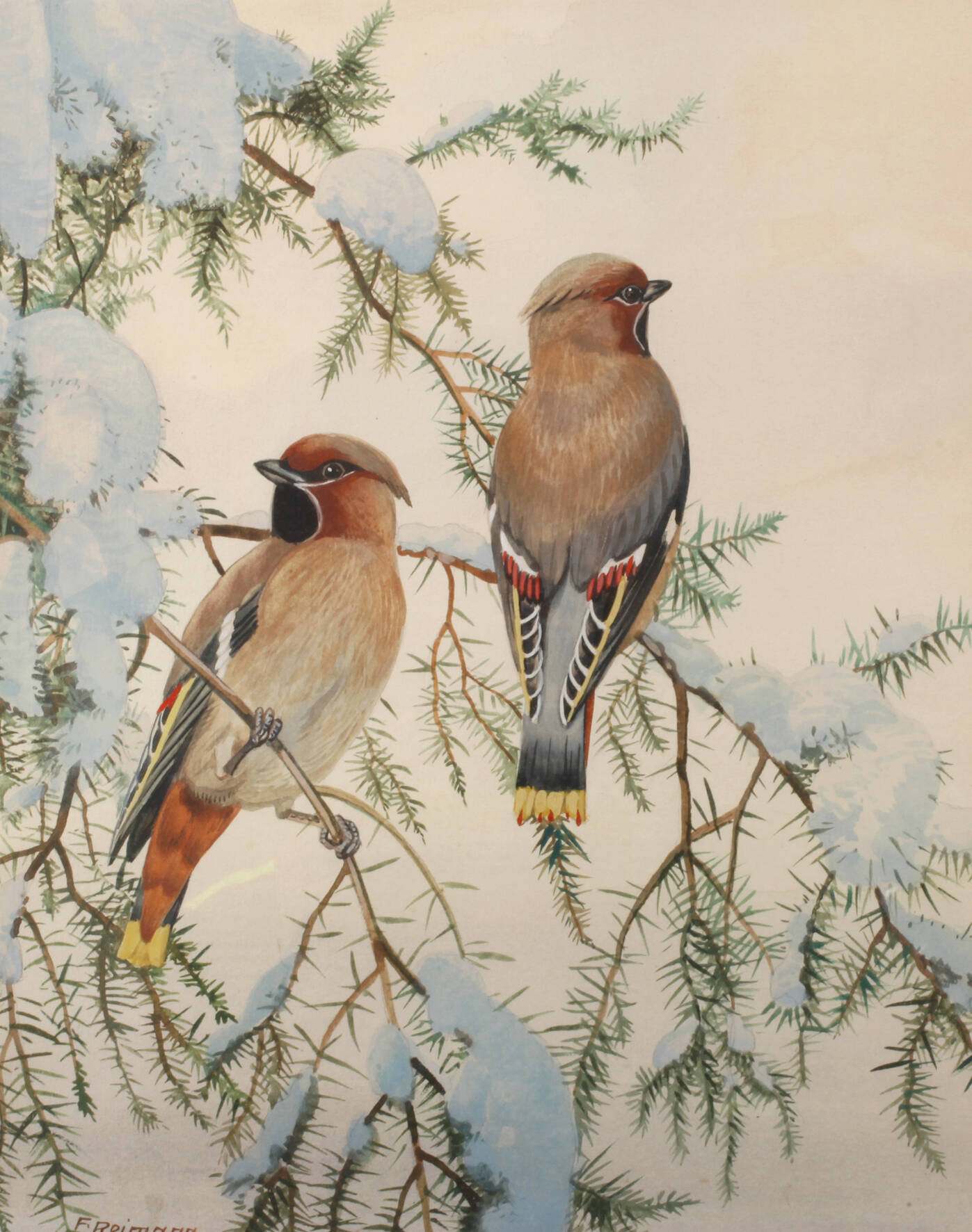 Friedrich Reimann, "Seidenschwänze"