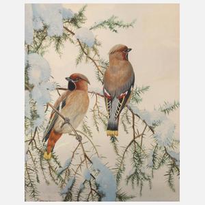 Friedrich Reimann, "Seidenschwänze"