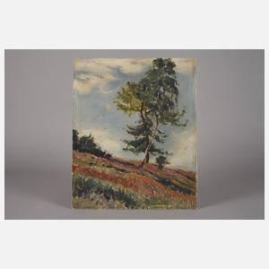 Hans Sachs attr., Baumgruppe am Hang