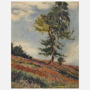 Hans Sachs attr., Baumgruppe am Hang