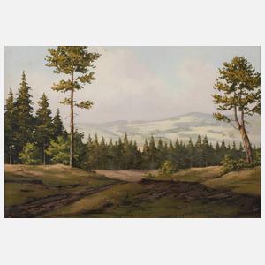 "Jocketa – Blick ins Erzgebirge"