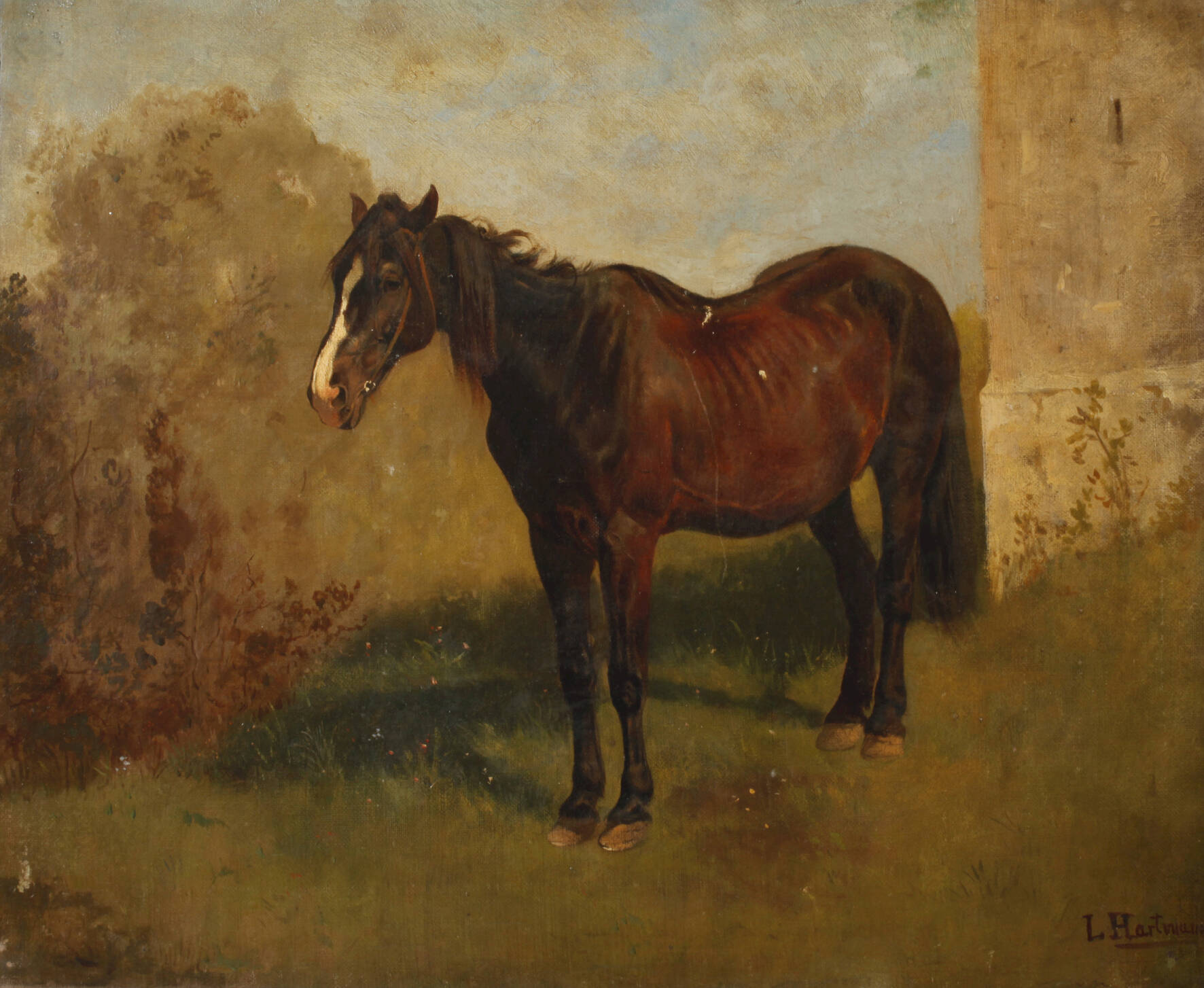 Prof. Ludwig Hartmann, Pferd im Grünen