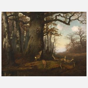 Georg Höhn, Rehe im Laubwald