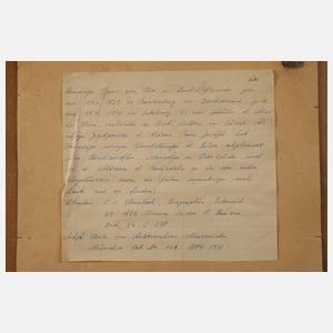 Franz von Pausinger, Bachstudie