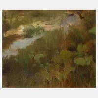 Franz von Pausinger, Bachstudie111