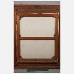 Robert Schultze, Burgruine Freudenberg bei Ragaz