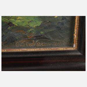 Prof. Otto Ackermann-Pasegg, Bergbauerndorf